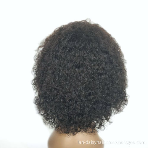 13x1 Lace Front Wig Curly Human Hair Wig 150 Density Glueless Preplucked  Wigs For Women